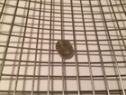 Quality Stainless Steel Mesh - 304  2  063 Stainless Steel Welded Wire 12  X 18 