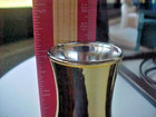 Las Vegas Nevada Souvenir Shot Glass Rio Casino 4  Tall