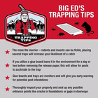Mice Glue Traps Pest Sticky Boards 72 Max Trap Catch Spiders Insects  36 Count 