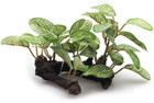 Artificial Plant Fish Tank Aquarium Ornaments Green Water  Plants Oval Leaves 