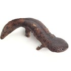 Nature Techni Colour Mini Figure Nature Of Japan 01  Japanese Giant Salamander