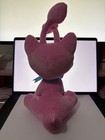 Sdcc 2024 Exclusive Neopets Aisha Plush Toy 25th Anniversary  231 500 No Code