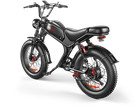 Dual-drive High-speed Electric Bike
