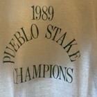 Vintage Rare Paper Thin 1989 Pueblo Stake Champions T Shirt Screen Stars Sz L