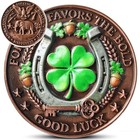 Fortune Favors The Bold Lucky Coin  Horseshoe   Four-leaf Clover Good Luck