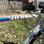 Vintage Schwinn Premis Road Bike 54cm 21 5in Columbus Tubing 700c Rare Bicycle