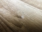 Light Pipes For Korg Minilogue - Replacement Parts