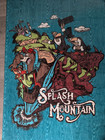 New Splash Mountain Disney Parks Disneyland Disney World Ride Beach Towel 63 x33
