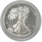 1989 S American Silver Eagle Bullion Proof  1 Coin Collectible Ogp Coa