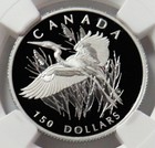 2002 Platinum 344 Mintage Canada  150 Great Blue Heron 1 2 Oz Ngc Proof 70 Uc