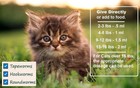 Triple Defense- Tapeworm Plus For Cats And Kittens Pet Dewormer Supplement