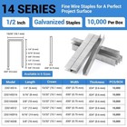 10 000 Counts 1 2 Inch Length 22 Gauge 13 32 Inch  10 1 Mm  Crown Staples