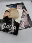 Lady Gaga Terry Richardson Hardcover Book    Remix Uk Promo Poster Monster Ball