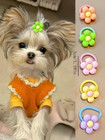 20 40pcs Cute Pet Hair Accessories     Bows flowers   Animal Designs For Dogs cats