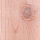 Ventral Lumber 2 In  X 4 In   1 1 2  X 3 1 2   Construction Redwood Board Stud