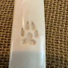 7    Dale Duby - Great Basin Knife -handmade Flint   Antler- Bear Paw  - Obsidian