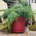 Bloem Sp0513 Saturn Series Burnt Red Planter 5 In  With Saucer
