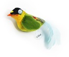 Interactive Chirping Bird Cat Toy Automatic Bird Sound For Cat Play Exercise Us