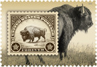  new  2026 American Bison  single  2026 Mint Nh -   after 05 25 26  