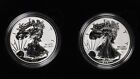 2021-w s Silver American Eagle Reverse Proof Two-coin Set Designer Edition  5044