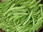 Winged Bean Seeds - Dragon Bean      u R   ng Vietnam - 98  Germ - Mai s Family