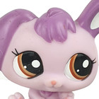 Lps  2300 Baby Rabbit Littlest Pet Shop 2009 Purple Gen 3 Brown Eyes Multi Pack