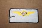 Vintage Original Erie County Ny Ecyd Flight Officer Uniform Patch