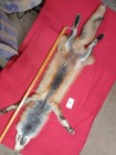 Garment Tanned Red Fox Pelt With Feet Claws  Thick Winter Fur  Nice Coloring