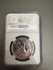 2017  25 1 Oz American Palladium Eagle High Relief Ngc Ms70 First Day Signed