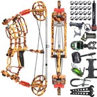 30-60lbs Compound Bow Kit Steel Ball Arrows Dual-use Archery Hunting Fish Rh Lh