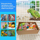 Vibrant Foraging Toy Box For Small To Medium Parrots And Cockatoos