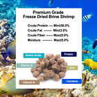 Freeze Dried Brine Shrimp-betta Fish  Goldfish  Cichlid  Guppy  Turtle