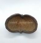 5 Pcs Sterculia Pod Natural Floral Decoration Crafts Dried Botanicals Potpourri