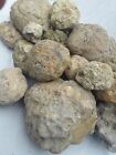 5 Lbs Raw Kentucky Geodes - Solid   Semi-solid Mix - Approve Before Shipping 