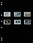  17 45 Scott Value - 2017 Isle Of Man Birds Island Seabirds Ducks Mnh Nh Umm
