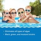 In The Swim  Algaecide 50 For Swimming Pools - Green  Black  And Yellow Algae