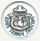 Official Smokey Bear Prevent Forest Fires Iron-on Embroidered Patch - Ships Fast