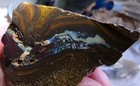 Australian Boulder Opal Rough Koroit 660 Carats  