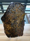 600 Grams Sericho Pallasite Meteorite Slice
