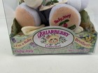 Fisher Price Briarberry Collection Baby Joey Brother Bear Plush New Sealed