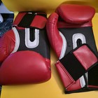 Everlast Boxing Gloves Red 14 Oz Training Heavy Bag Wristwrap Everfresh - Used