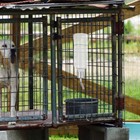 Pet Hanging Water Dispenser Animal Bottle Feeder Rabbit Small Puppy