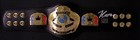 Julio Cesar Chavez Signed Official Title Boxing Mini Championship Belt Bas Coa