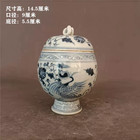 Old Chinese Blue And White Porcelain Qing Dynasty Hand Painted Jar Pot Collect