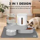 Automatic Cat Feeder And Water Dispenser  2 In 1 Gravity Pet Food Feeder And Wat