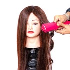 Hairdressing Training Mannequin Head 60  Real Hair With Tools And Stand Brown