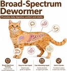 Cat Dewormer Liquid Broad Spectrum Treatment For Tapeworms  Roundworms   Hookwor