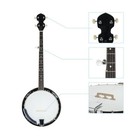 5 String Banjo W  Closed Back 24 Brackets Head   Maple Neck