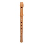 Soprano Recorder 8-hole Kids Recorder Woodwind Instrument Small Flute For