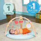 Disney Baby Winnie The Pooh Hunny Hangout Activity Gym - Blue